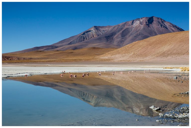 Laguna Hedionda, Bolivien