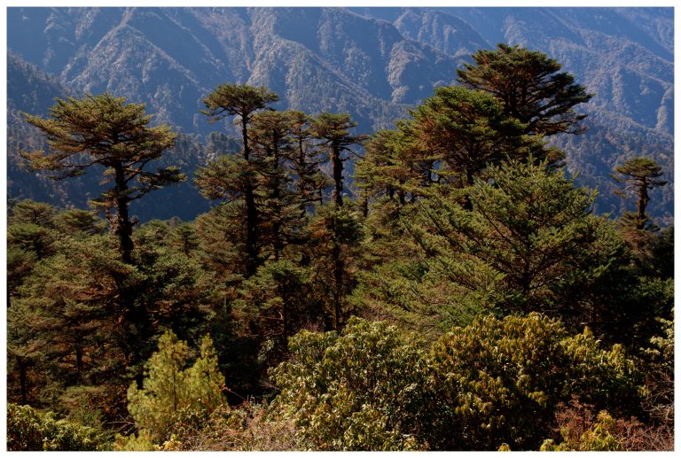 Trongsa, Bhutan