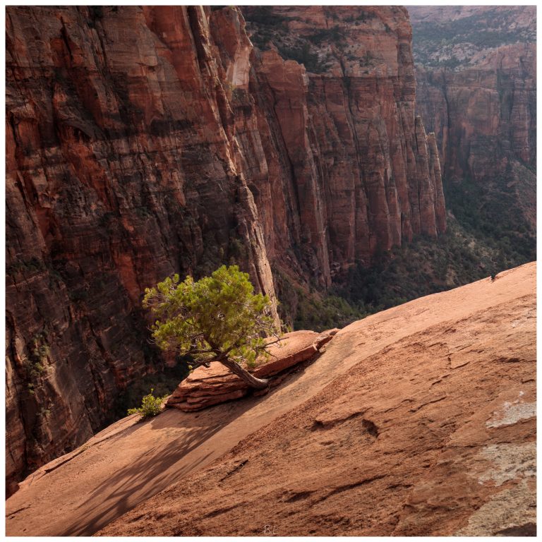 Zion National Park, Utah