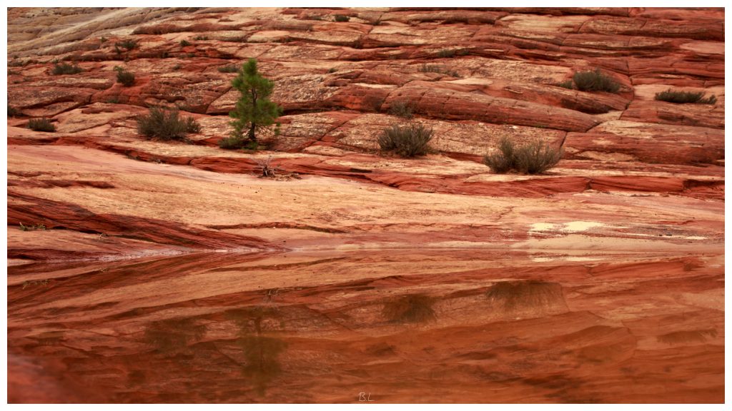 Zion National Park, Utah